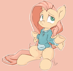 pony image