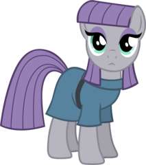 pony image