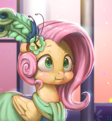 pony image